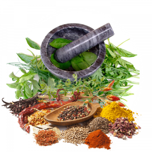 Herbal Remedies to Boost Your Immune System
